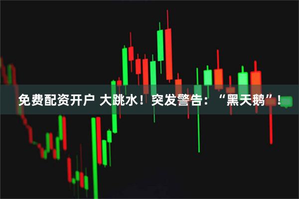 免费配资开户 大跳水！突发警告：“黑天鹅”！